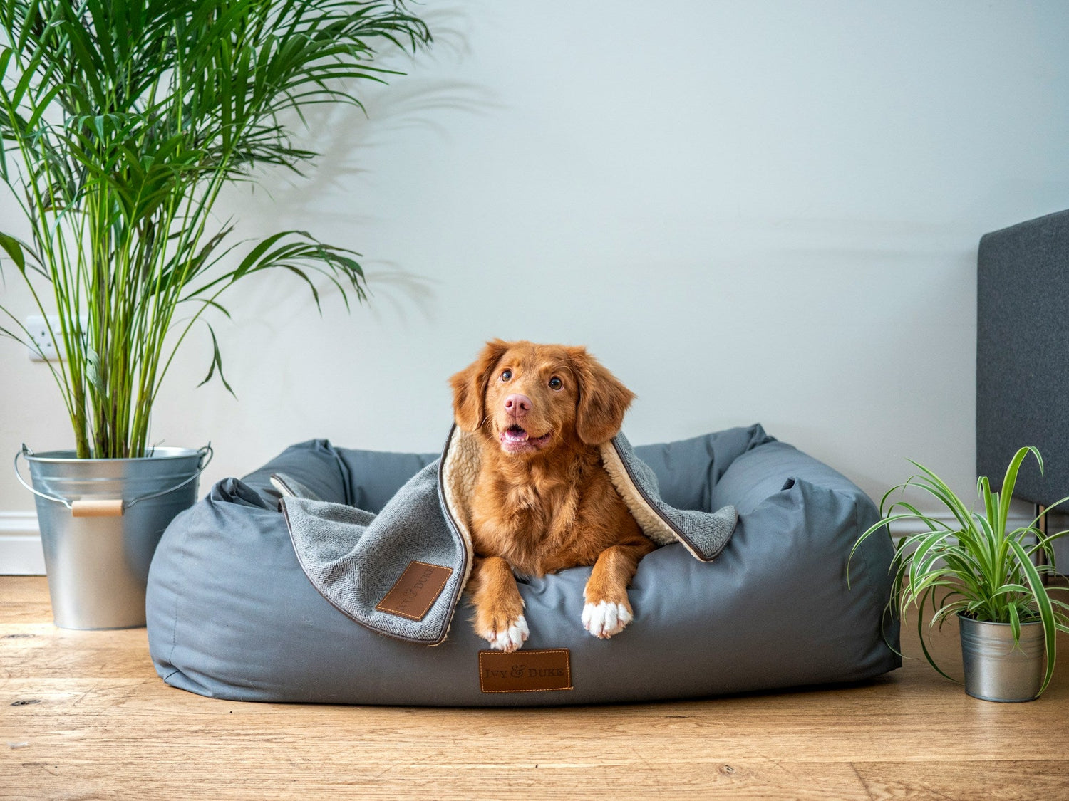 Beds, Crates, Cages & Strollers