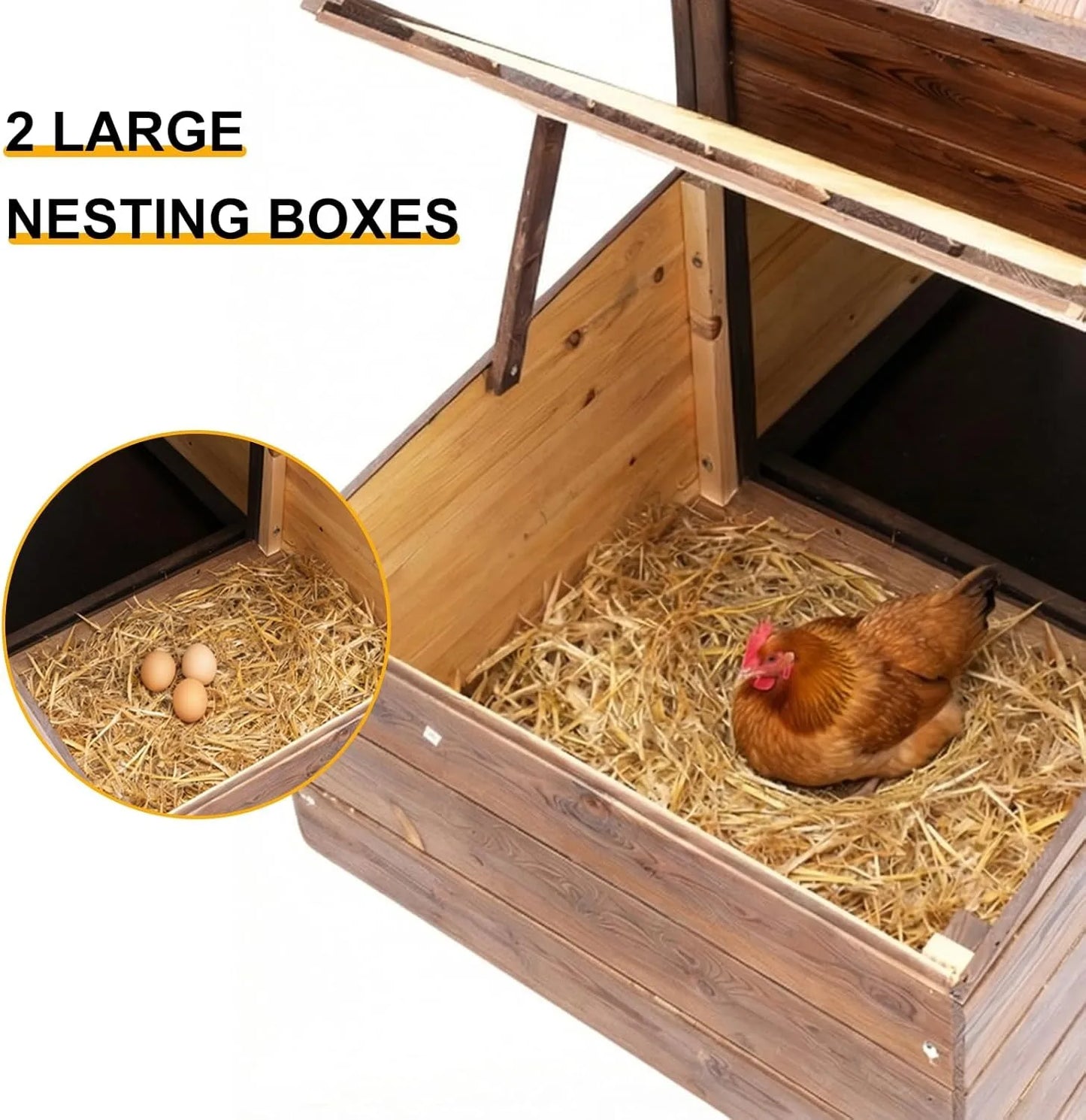 Chicken Coop With Two Nesting Boxes For Two Chickens
