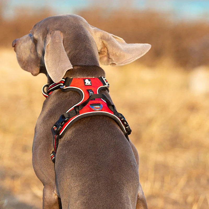 Truelove Reflective Nylon No Pull Adjustable Dog Harness