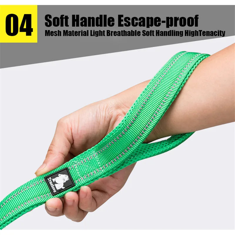 TrueLove Reflective Nylon Mesh Soft Pet Leash With Padded Comfort