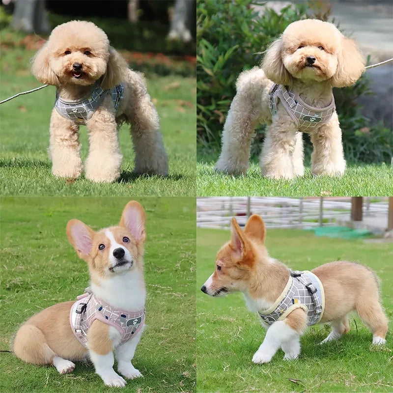Nylon Puppy Harness Vest With Leash Reflective Breathable Pet Harness