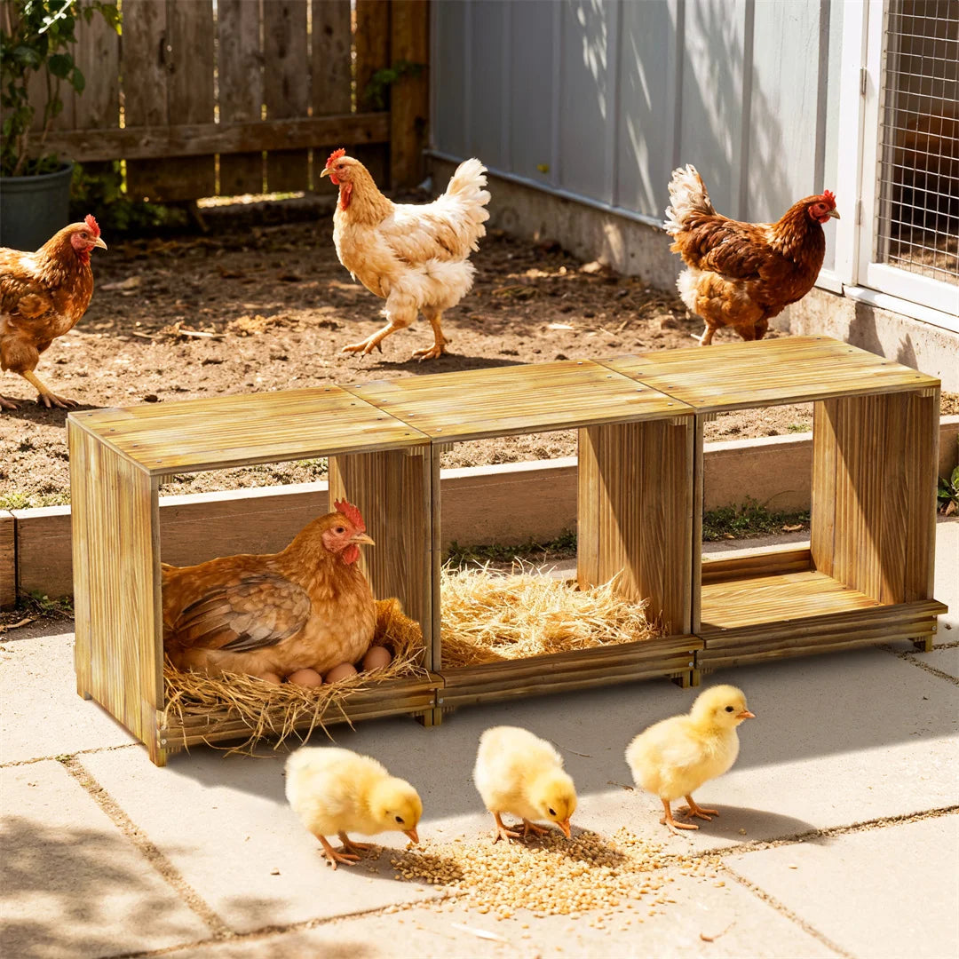 BINGOPAW Pine Wood 3 Compartment Chicken Nesting Box For Eggs