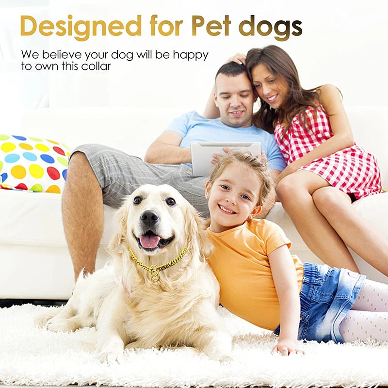 Stainless Steel Chain Dog Collar With Quick Release Link