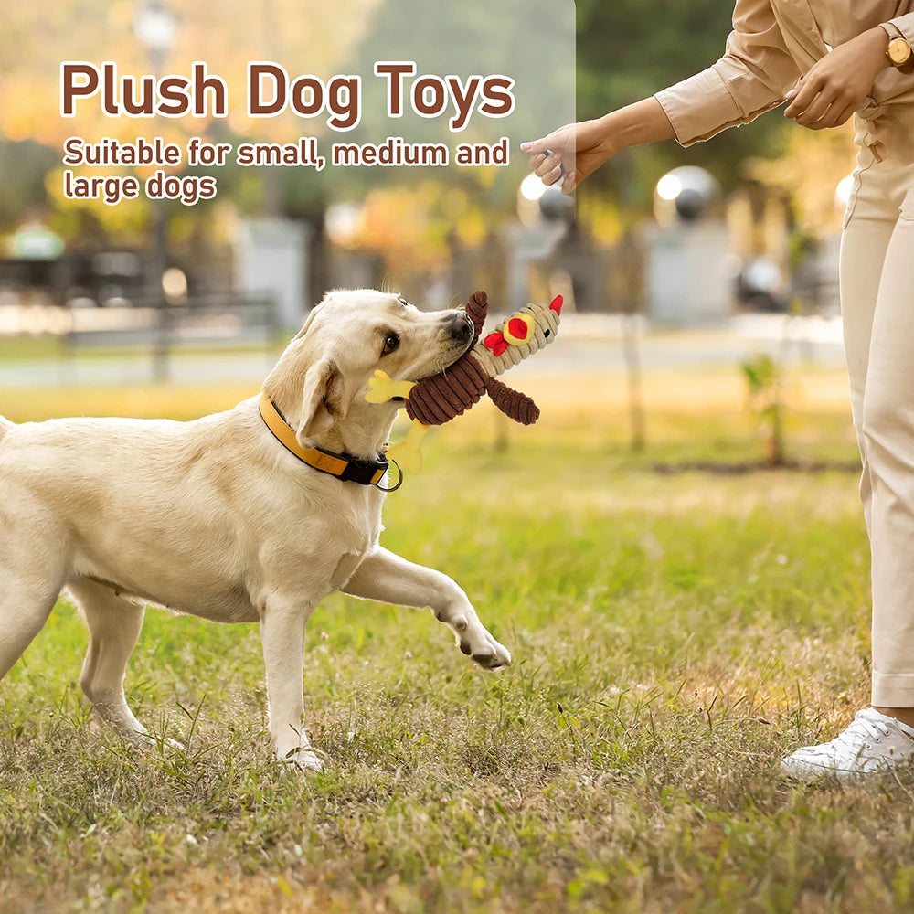 5 Pack Dog Plush Squeaky Toys Bundle for Small to Large Dogs