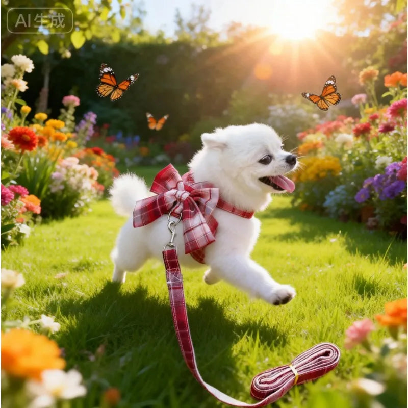 Cute No Pull Dog Harness Set With Leash And Bowtie