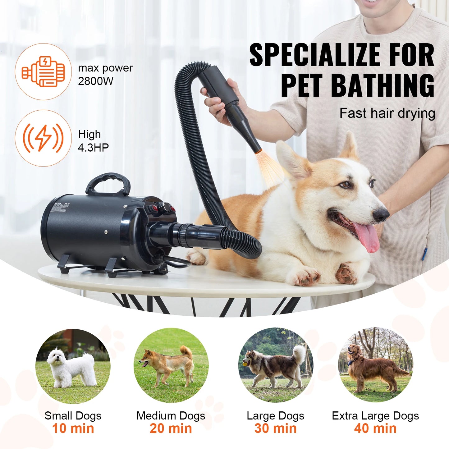 SucceBuy 2000W Dog Blow Dryer Adjustable Speed Temperature Control Nozzles