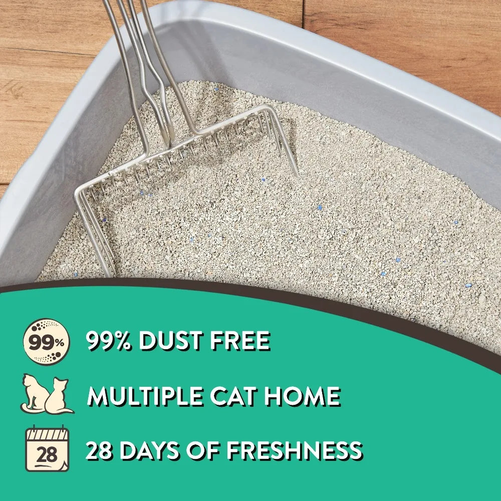 Special Kitty Clumping Cat Litter Fresh Scent 4 Pack