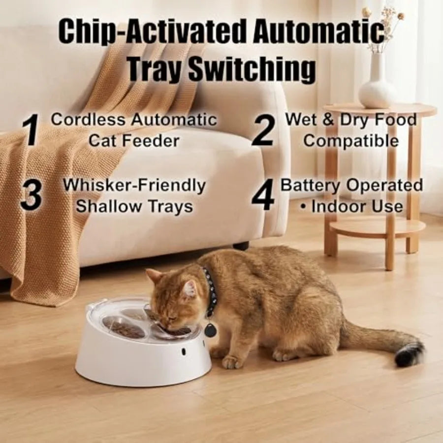 RFID Cat Feeder With Stainless Steel Bowls Dog Proof Design Supports Diet