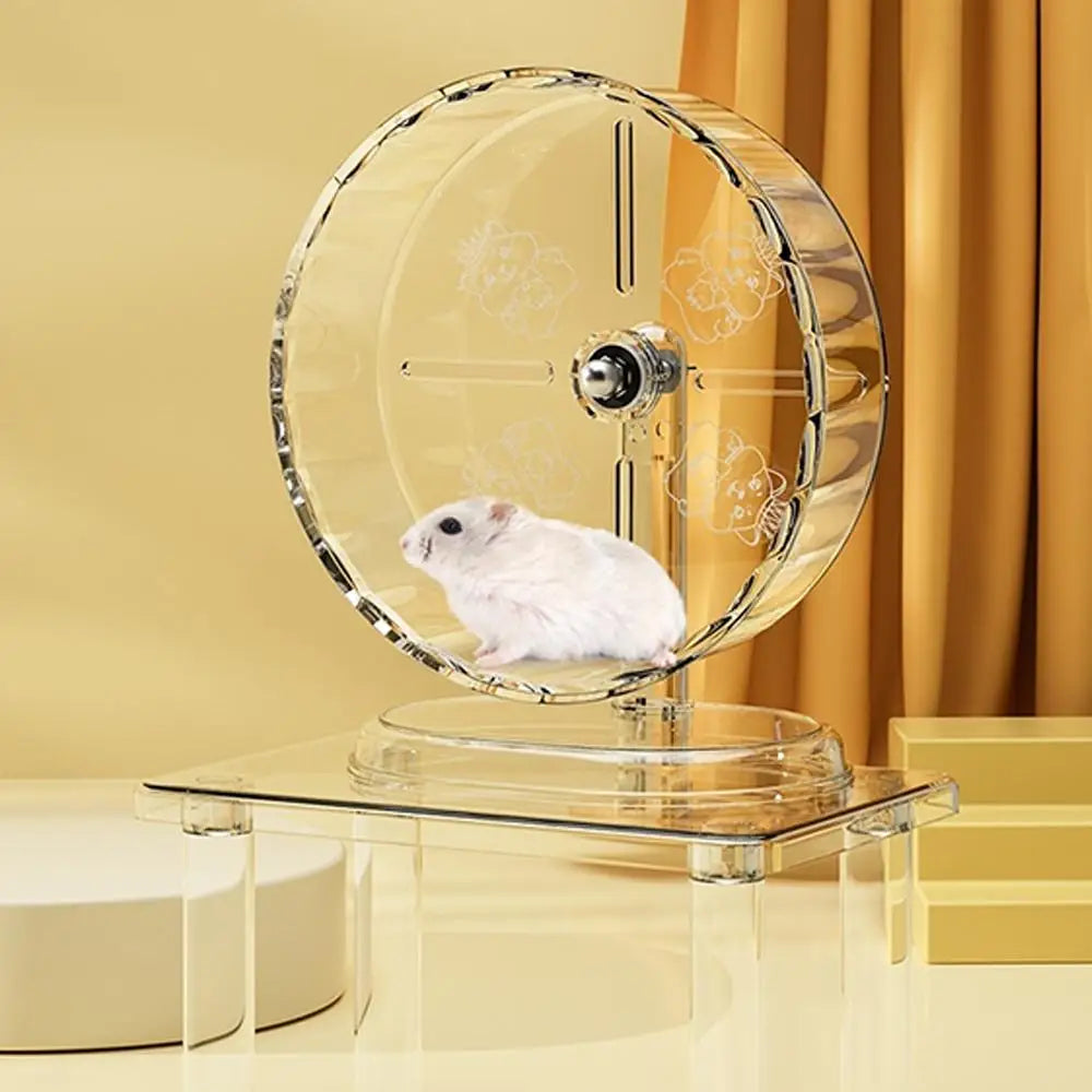 Silent Running Hamster Wheel With Transparent Wide Design