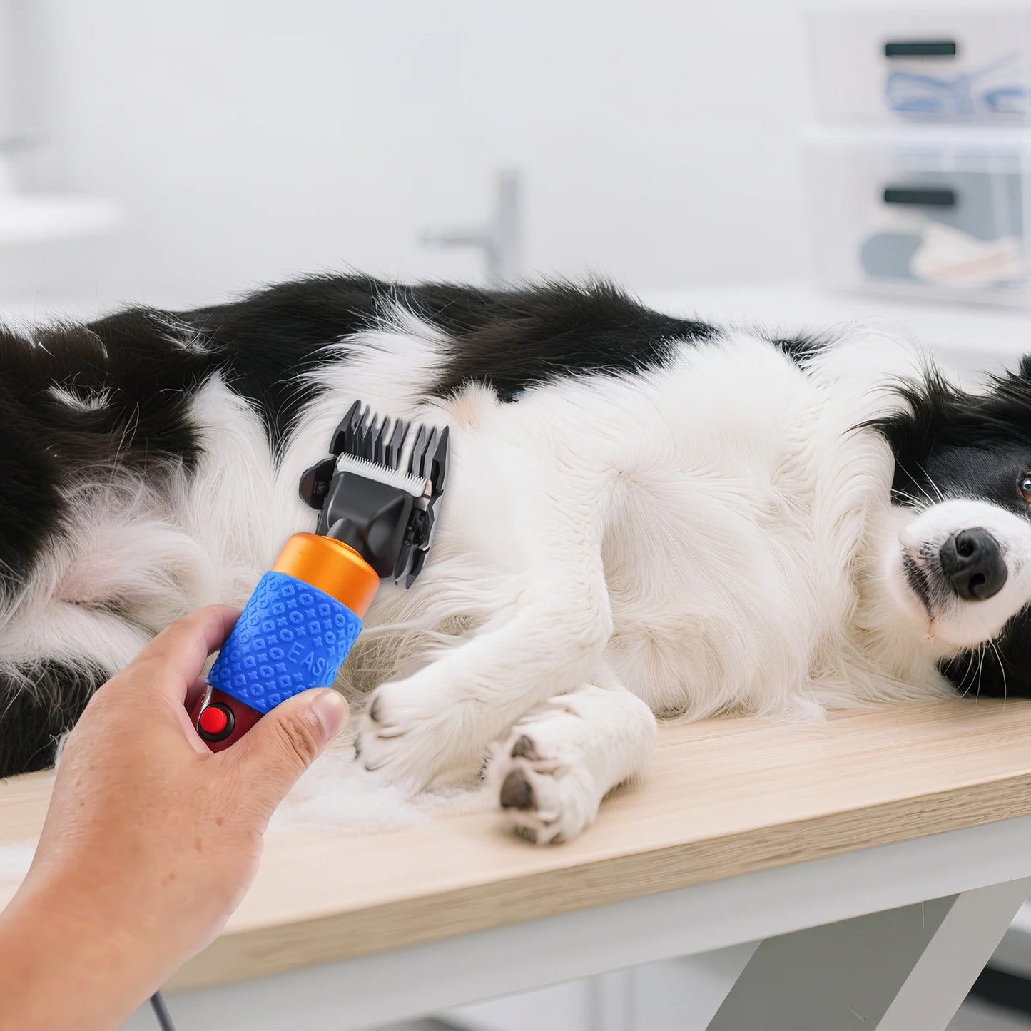 Professional Adjustable Dog And Cat Hair Trimmer Grooming Kit