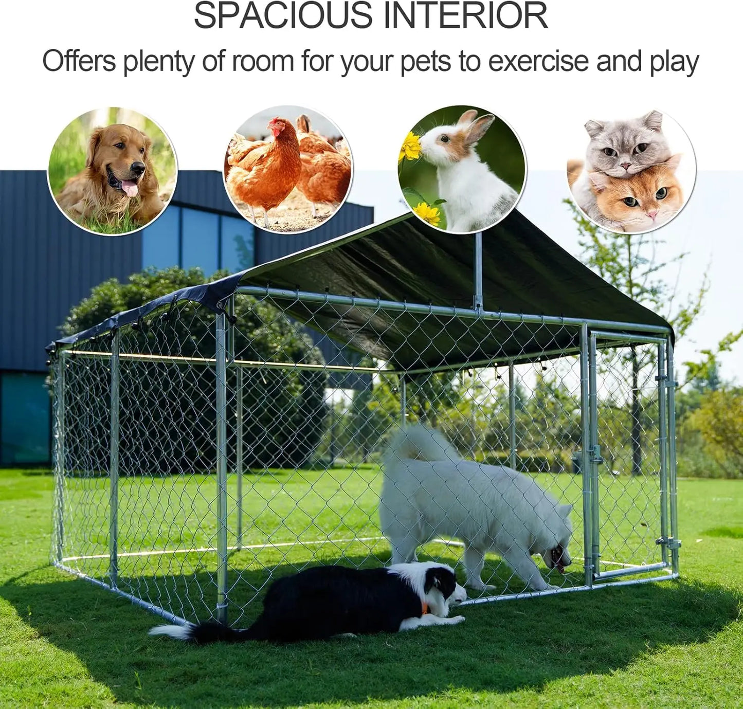Heavy Duty Outdoor Dog Kennel With Secure Lock And Mesh