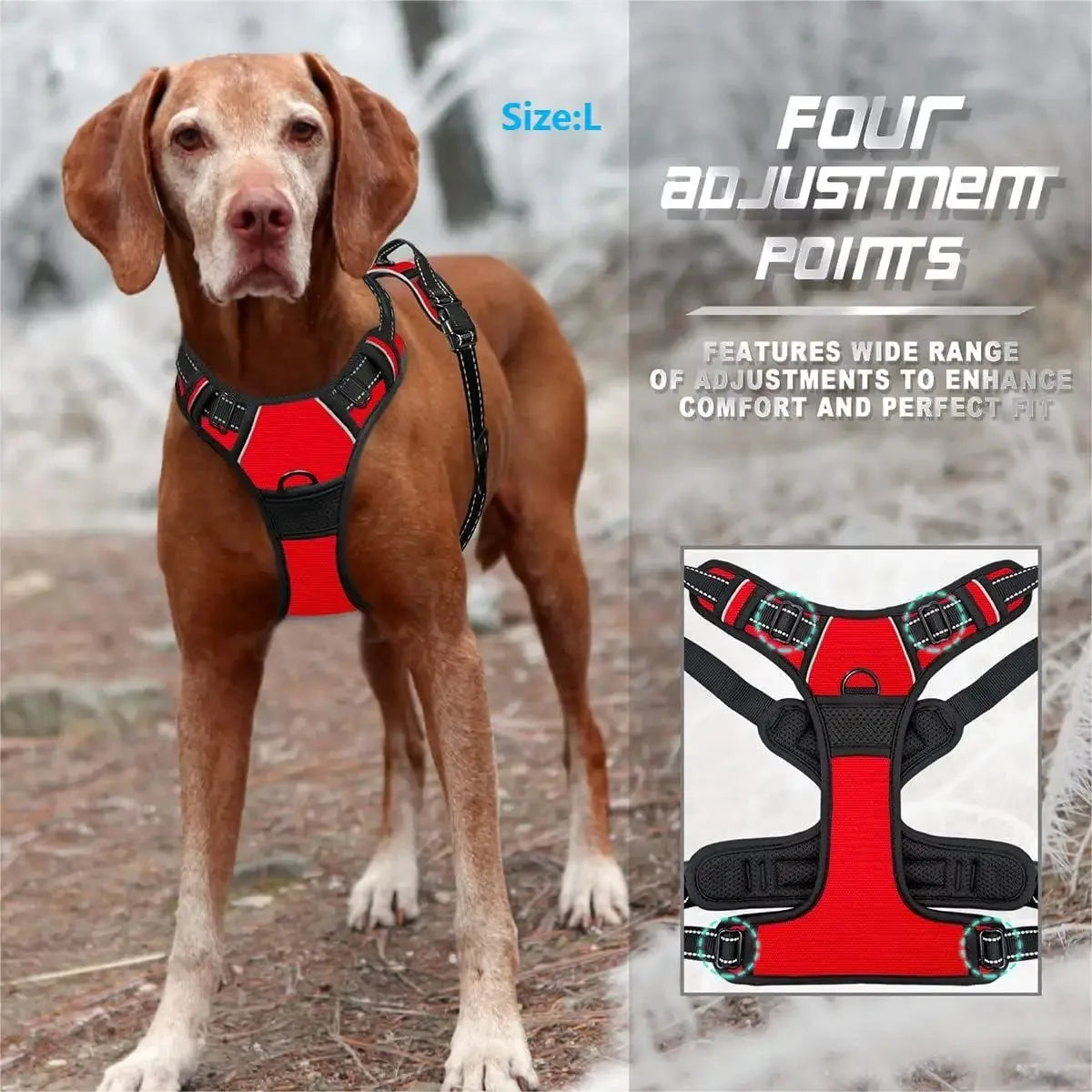 Dog Collar Harness Leash Set All Breeds All Seasons