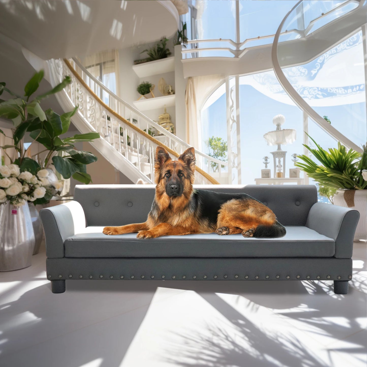 BINGOPAW Elevated Rectangle Dog Sofa Bed Durable Pet Couch