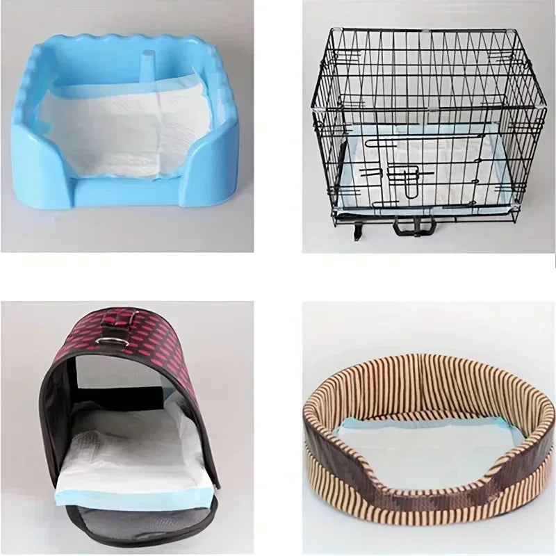 Disposable Dog Diapers And Training Pads With Odor Control