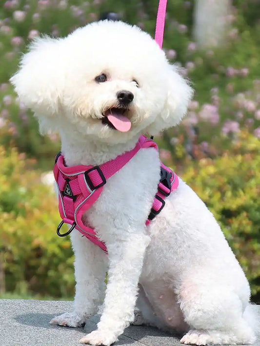 Reflective Pet Harness Leash Set For Dogs And Cats Adjustable
