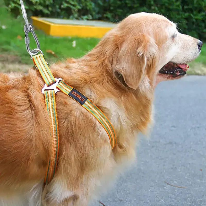 Double Headed Dog Tie Out Cable Leash Stainless Steel Wire