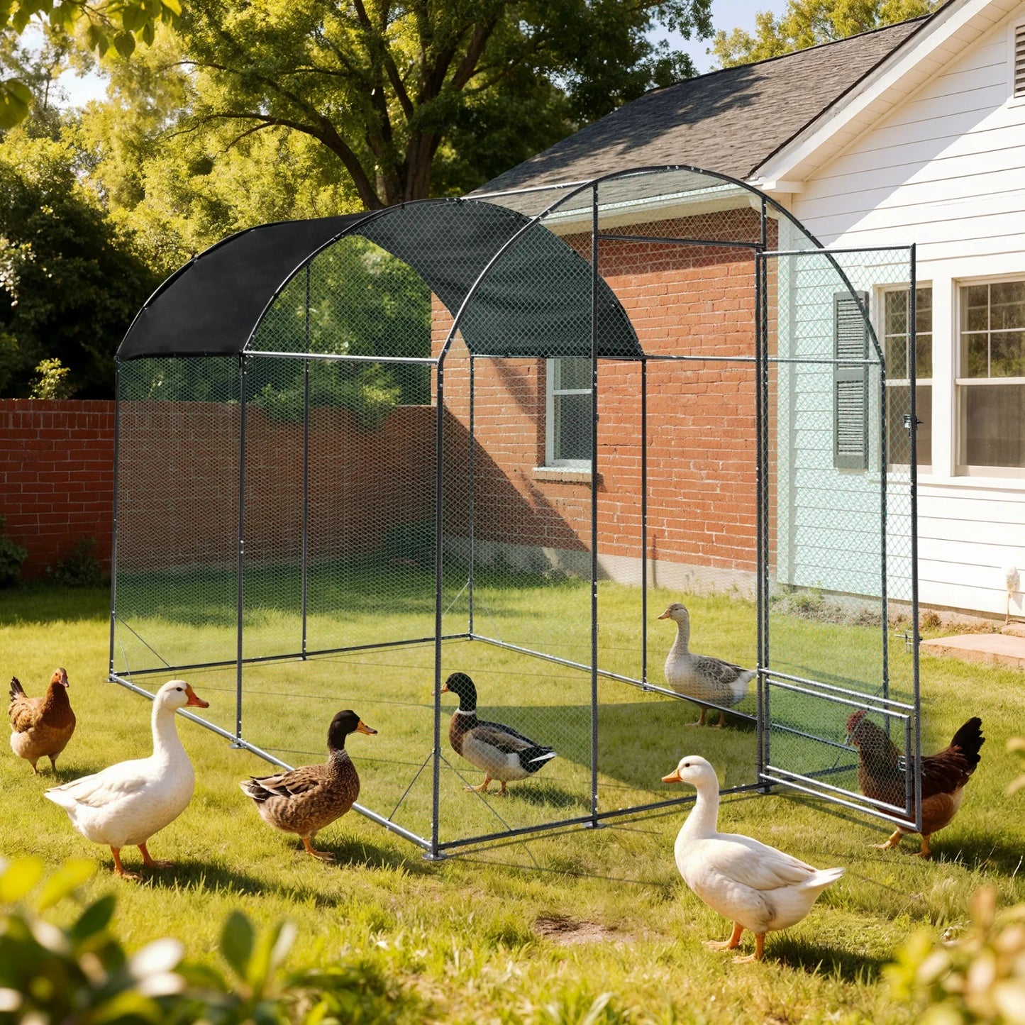 BINGOPAW Metal Walk In Poultry Coop With Nylon Netting Outdoors