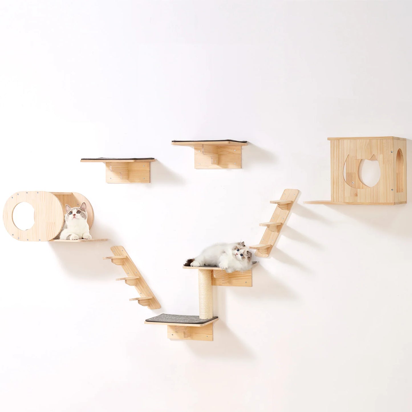 SucceBuy Wall Mounted Cat Shelves Perches Cat Tree With Hammocks