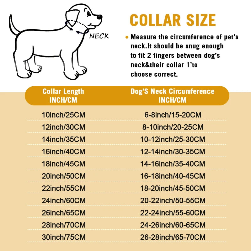 Stainless Steel Chain Dog Collar With Quick Release Link