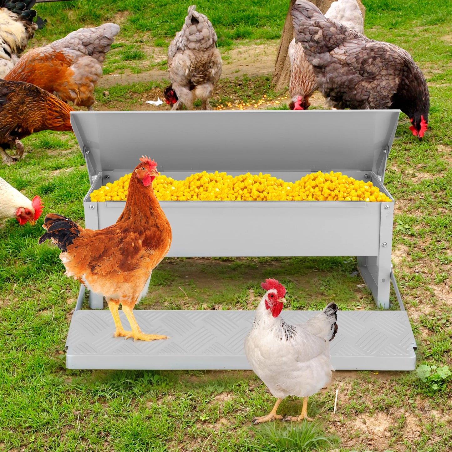 Automatic Treadle Chicken Feeder With Weatherproof Lid For Poultry