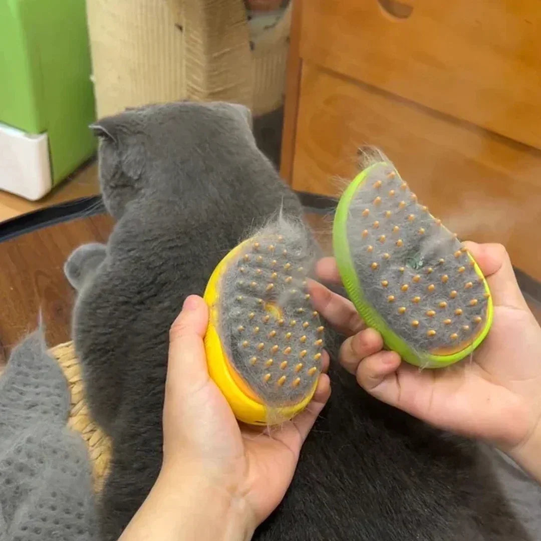 Steamy Brush Electric Sprayer For Cat And Dog Massage