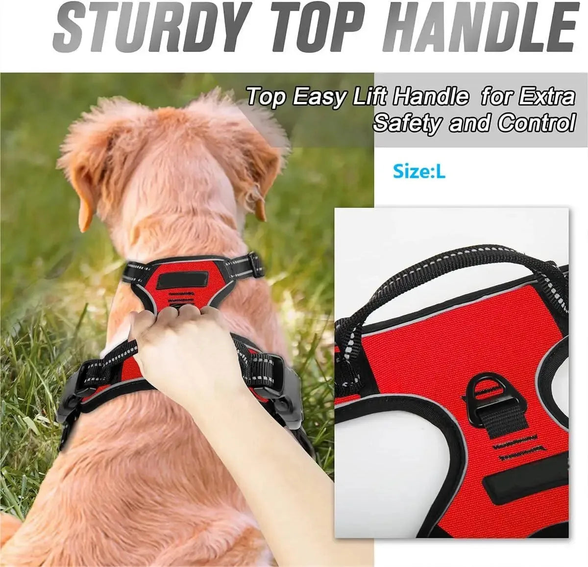 Dog Collar Harness Leash Set All Breeds All Seasons