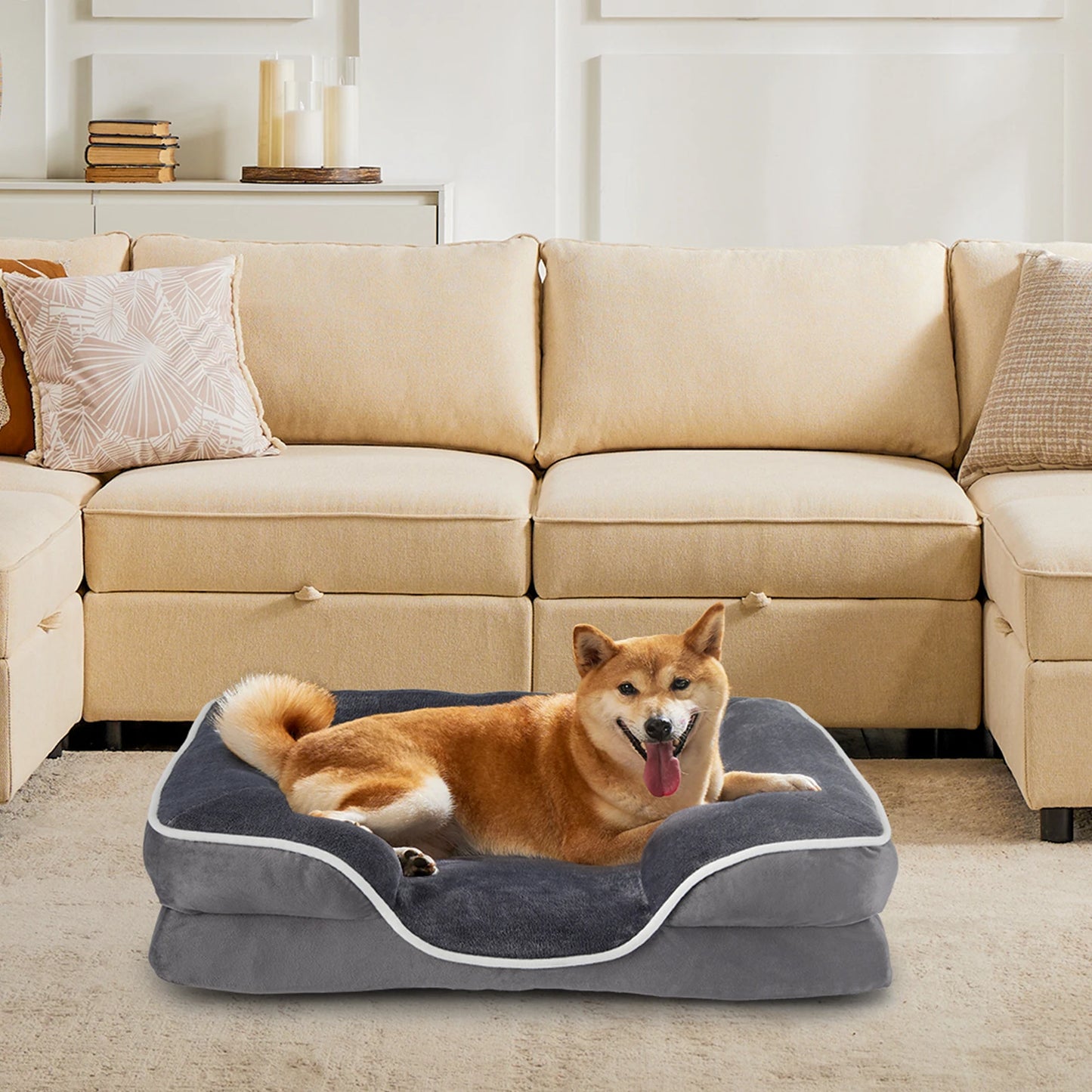 JHK Orthopedic Memory Foam Dog Bed For Small Dogs Cats With Removable Cover
