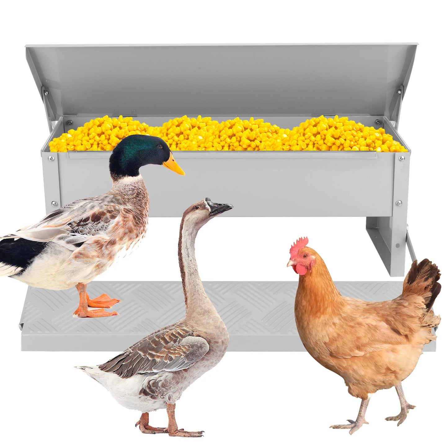 Automatic Treadle Chicken Feeder With Weatherproof Lid For Poultry