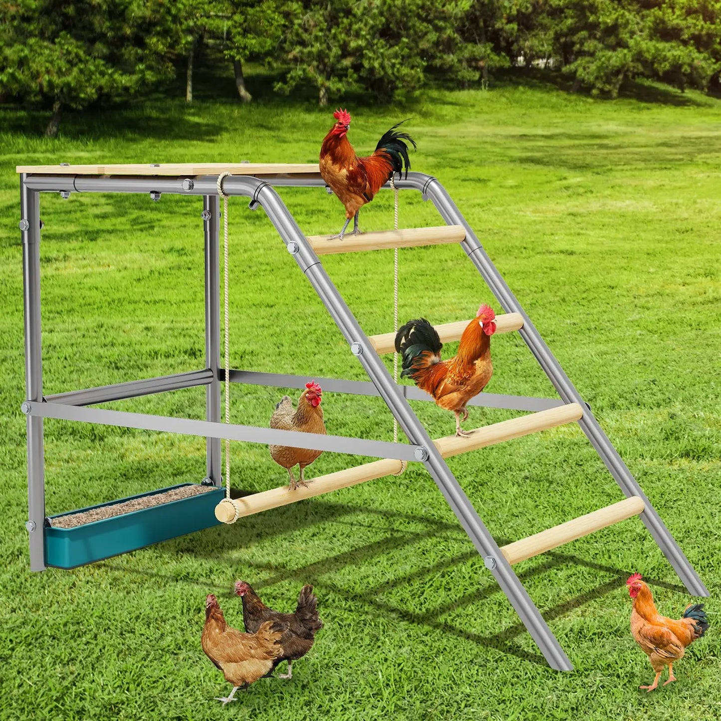 HiMISS Multi-Tier Galvanized Steel Chicken Roost With Wooden Perch For Coop