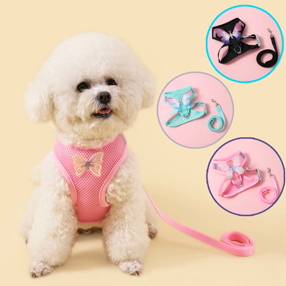 Breathable Cat Harness Set Butterfly Design With Leash Accessories