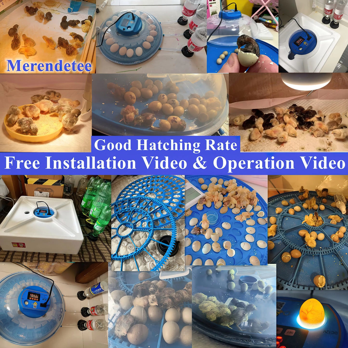Automatic Egg Incubator 26 to 52 Eggs With Water Adding
