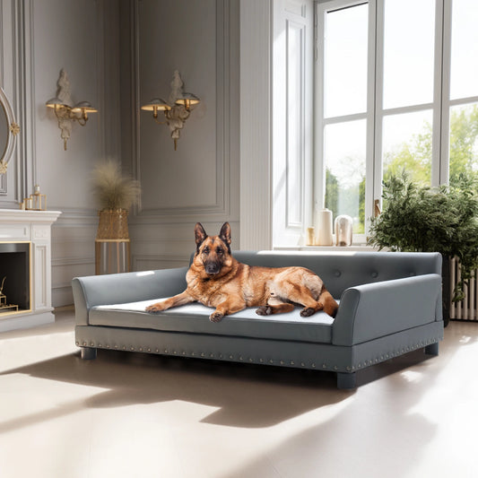 BINGOPAW Elevated Rectangle Dog Sofa Bed Durable Pet Couch