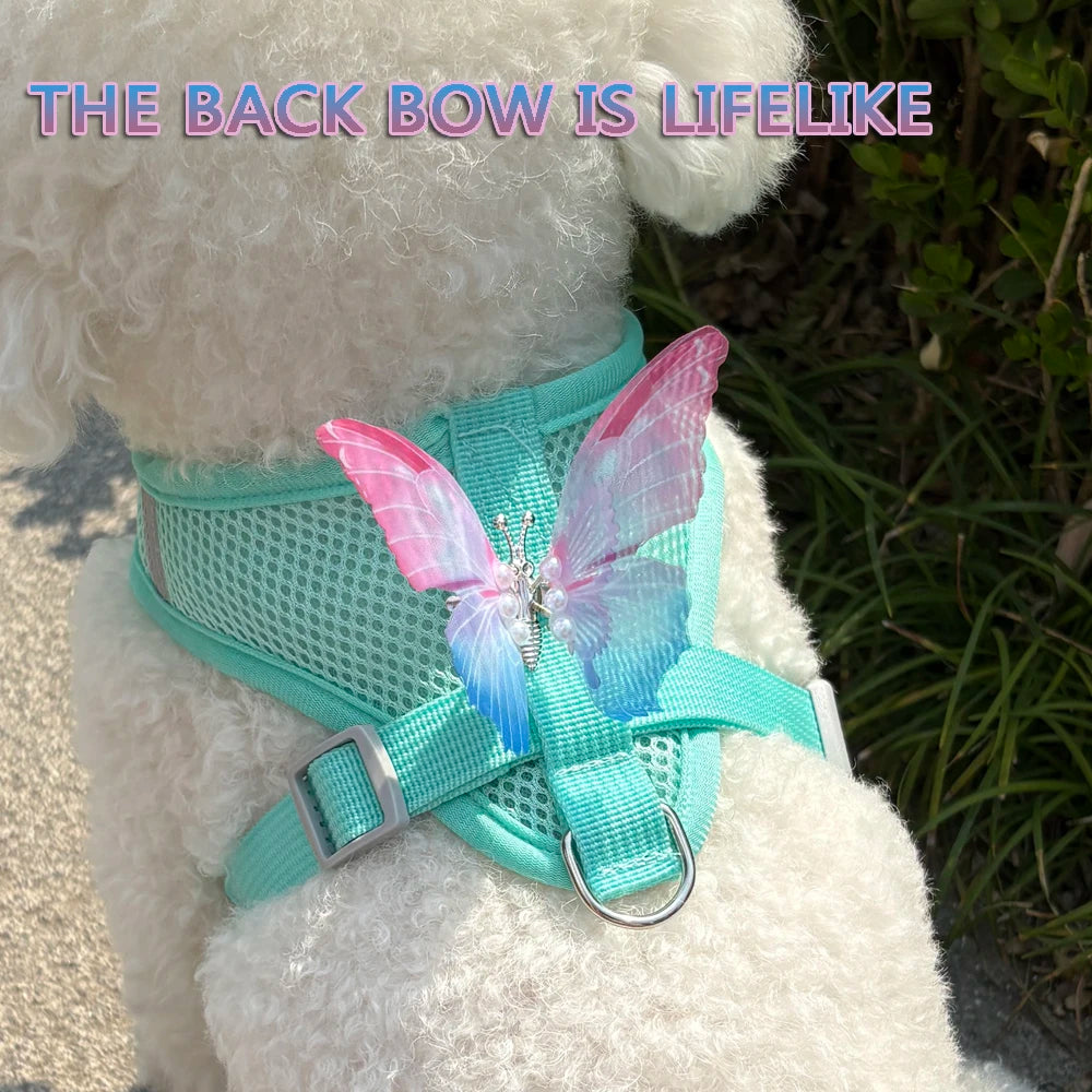 Breathable Cat Harness Set Butterfly Design With Leash Accessories
