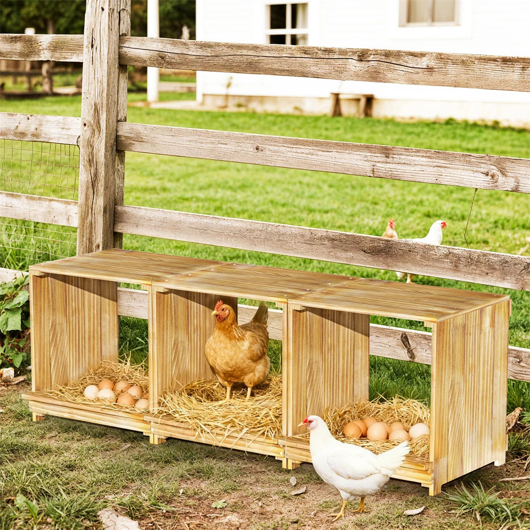 BINGOPAW Pine Wood 3 Compartment Chicken Nesting Box For Eggs