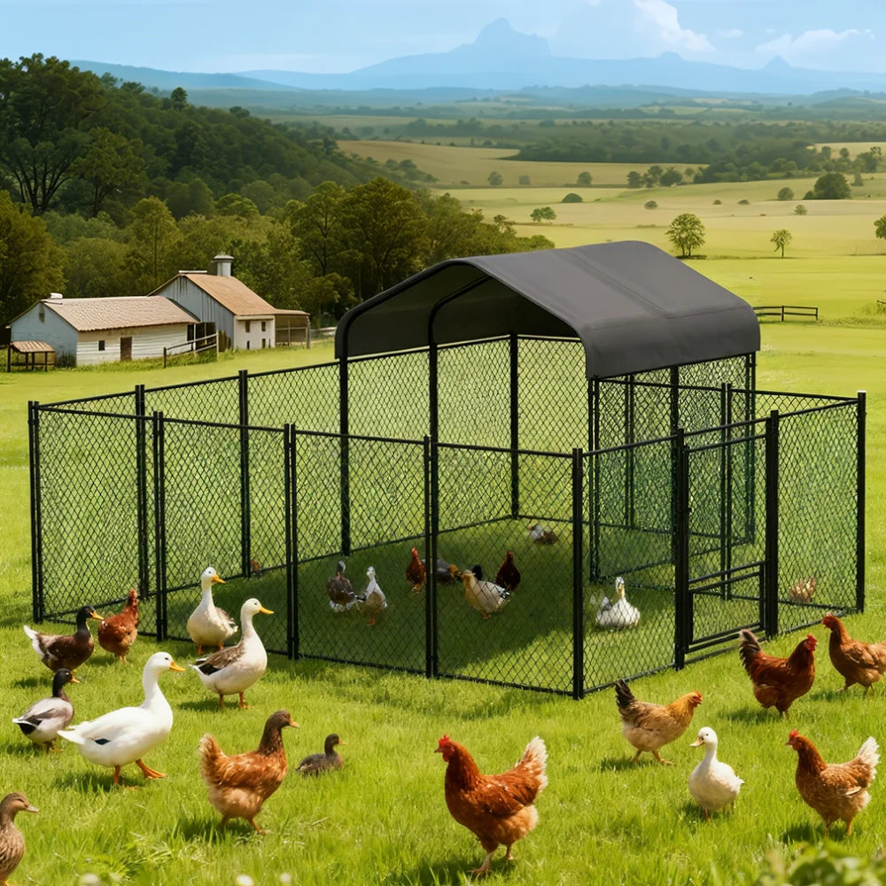 Borwart Heavy Duty Large Chicken Run Coop With Outdoor Cover And Walk In Entrance
