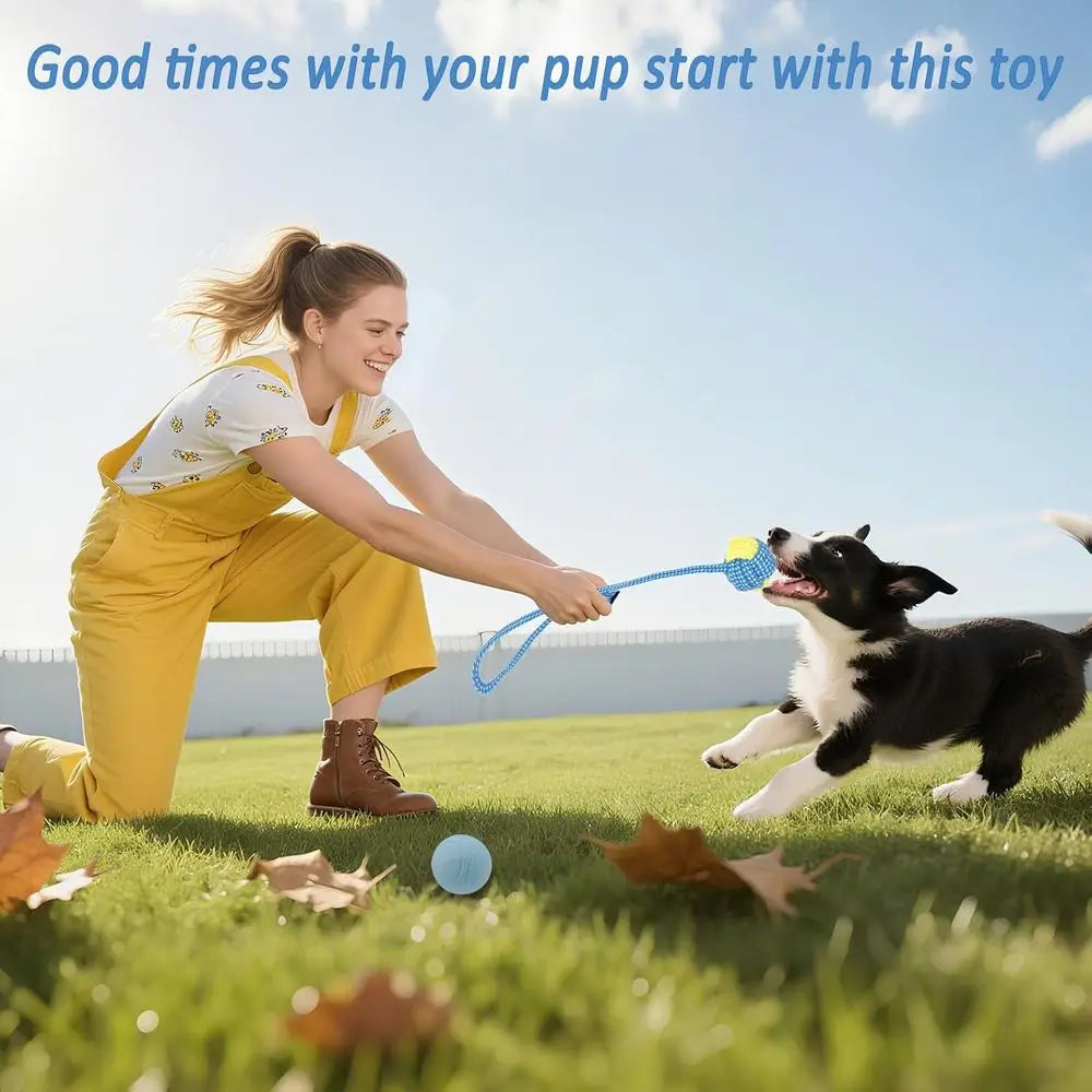 20 Pack Puppy Chew Toys For Small Dogs Teething Bundle
