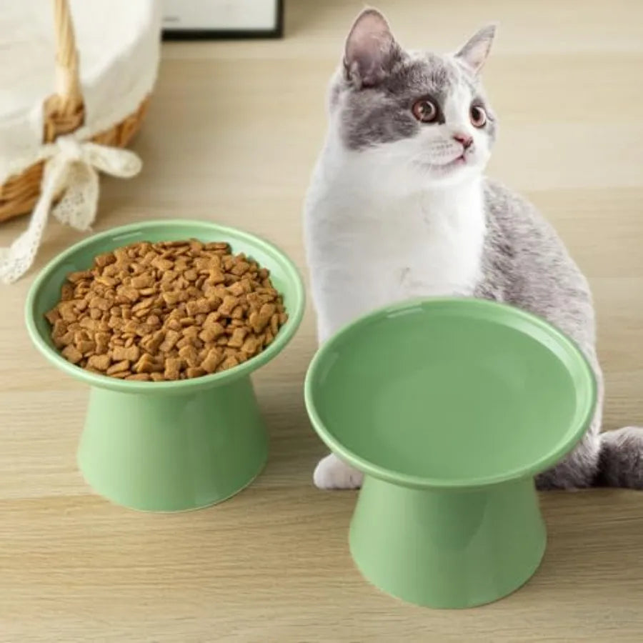 Elevated Ceramic Cat Bowls Set for Cats and Small Dogs