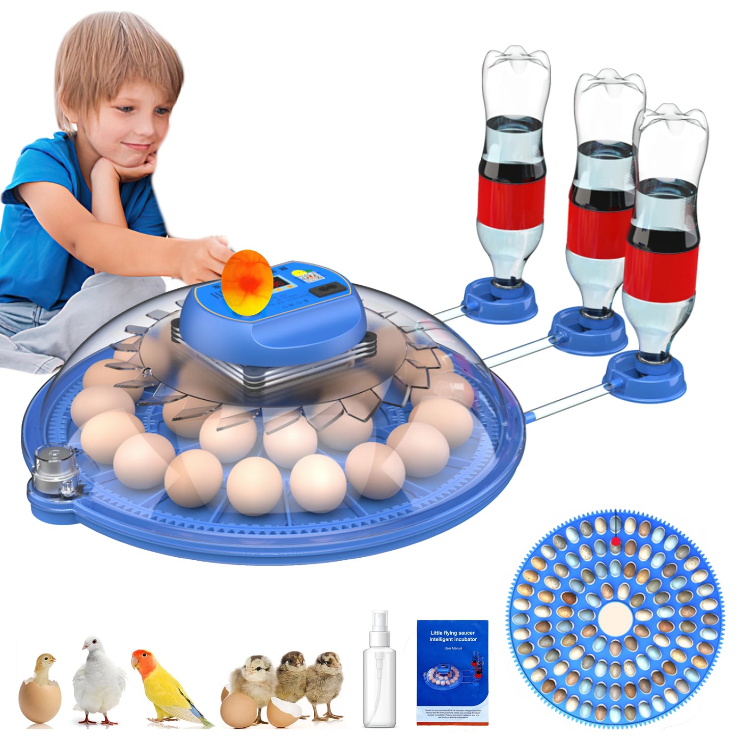 Automatic Egg Incubator 26 to 52 Eggs With Water Adding