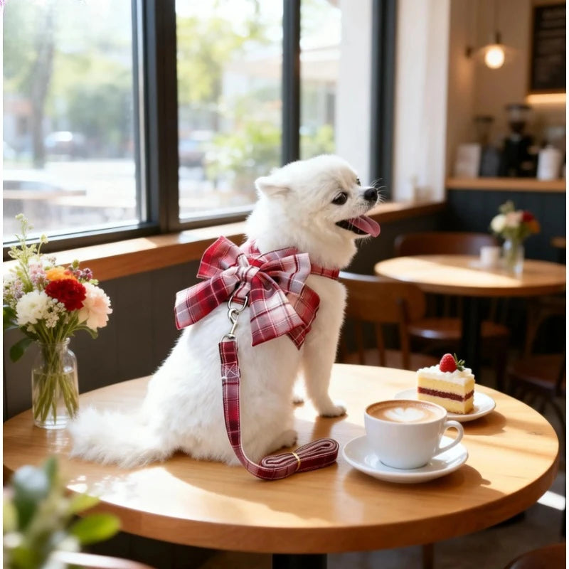 Cute No Pull Dog Harness Set With Leash And Bowtie