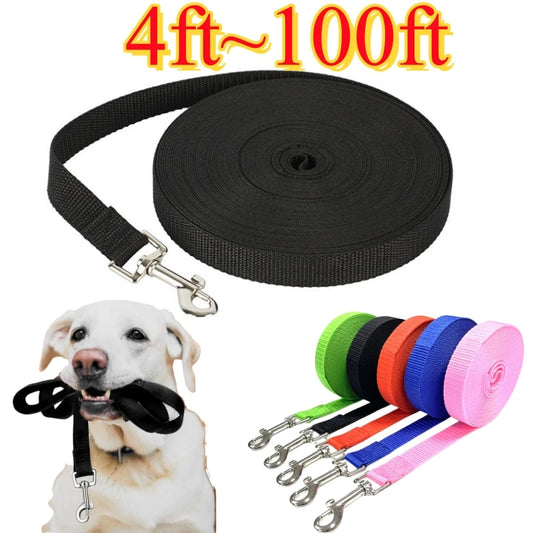 Nylon Dog Leash for Extended Training and Outdoor Walks