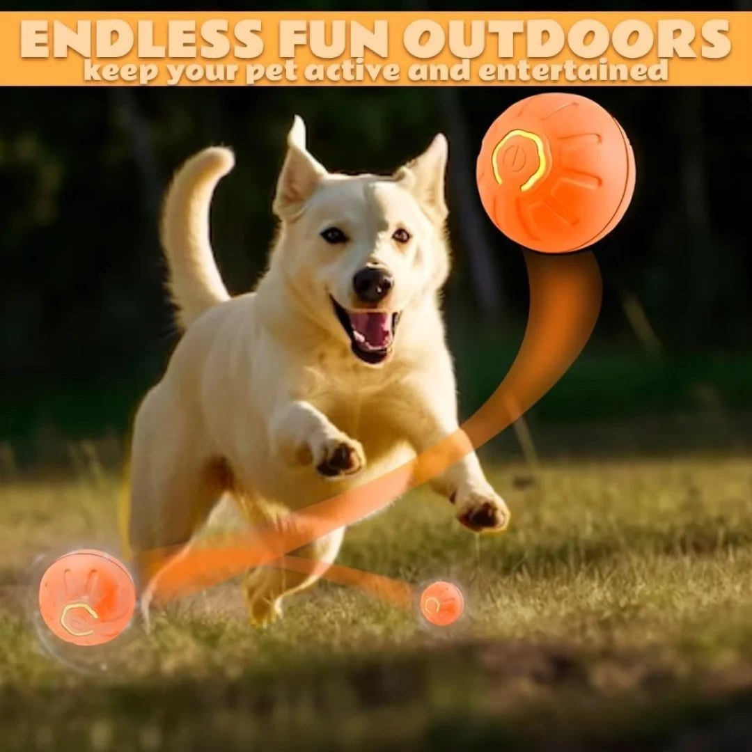Electric Plastic Pet Ball Bouncing Toy for Dogs and Cats