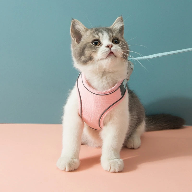 Cat Harness Leash Set Reflective Strip Suede Comfort Kitten