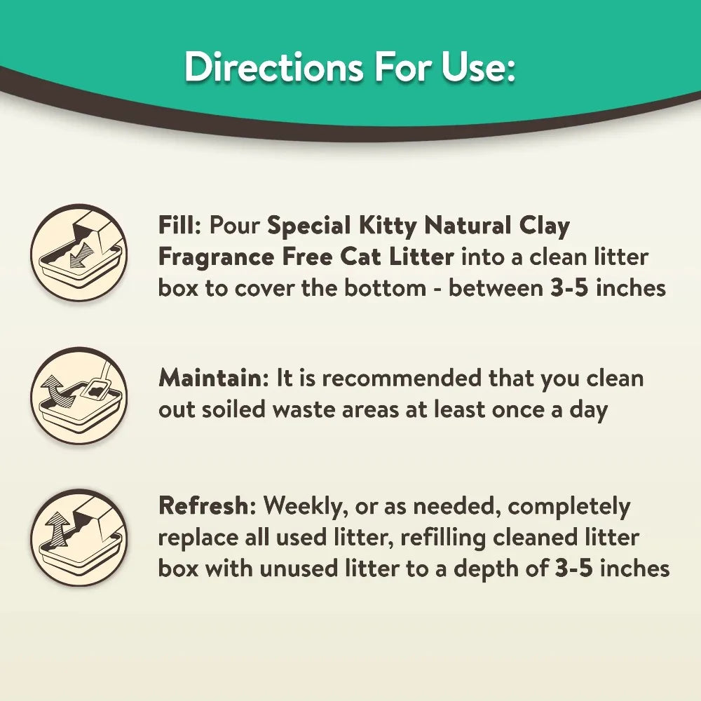 Special Kitty Clumping Cat Litter Fresh Scent 4 Pack