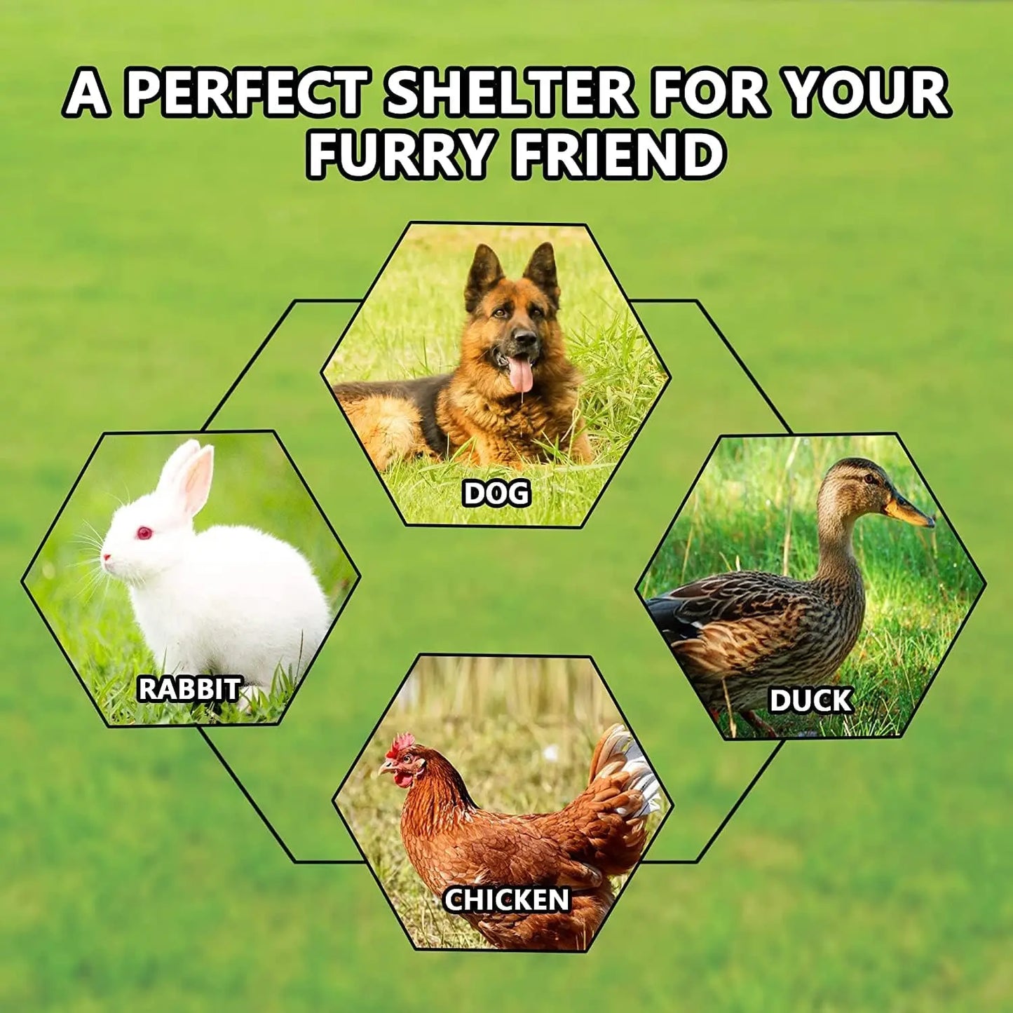 Outdoor Dog Kennel With Galvanized Chain Link And Waterproof Cover