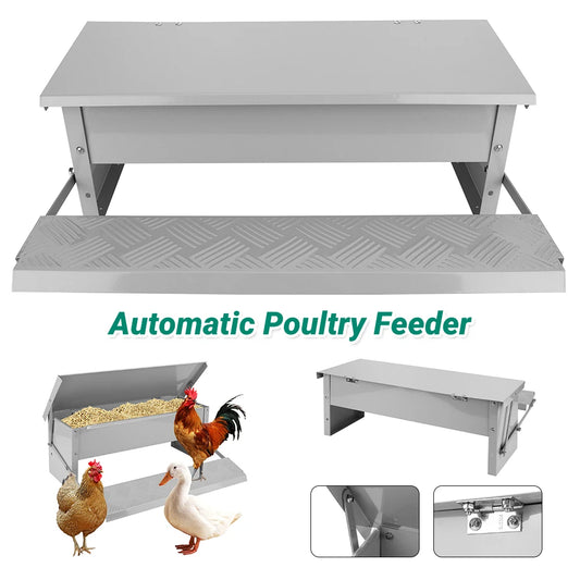 Automatic Treadle Chicken Feeder With Weatherproof Lid For Poultry