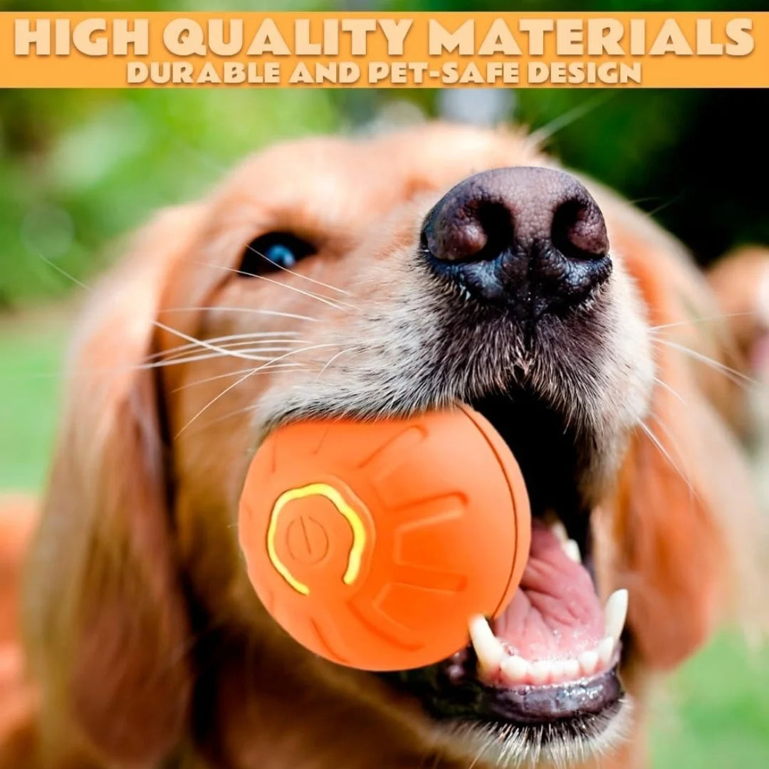Electric Plastic Pet Ball Bouncing Toy for Dogs and Cats