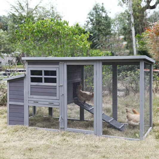 Wooden Chicken Coop With Run And Nest Box For Outdoors
