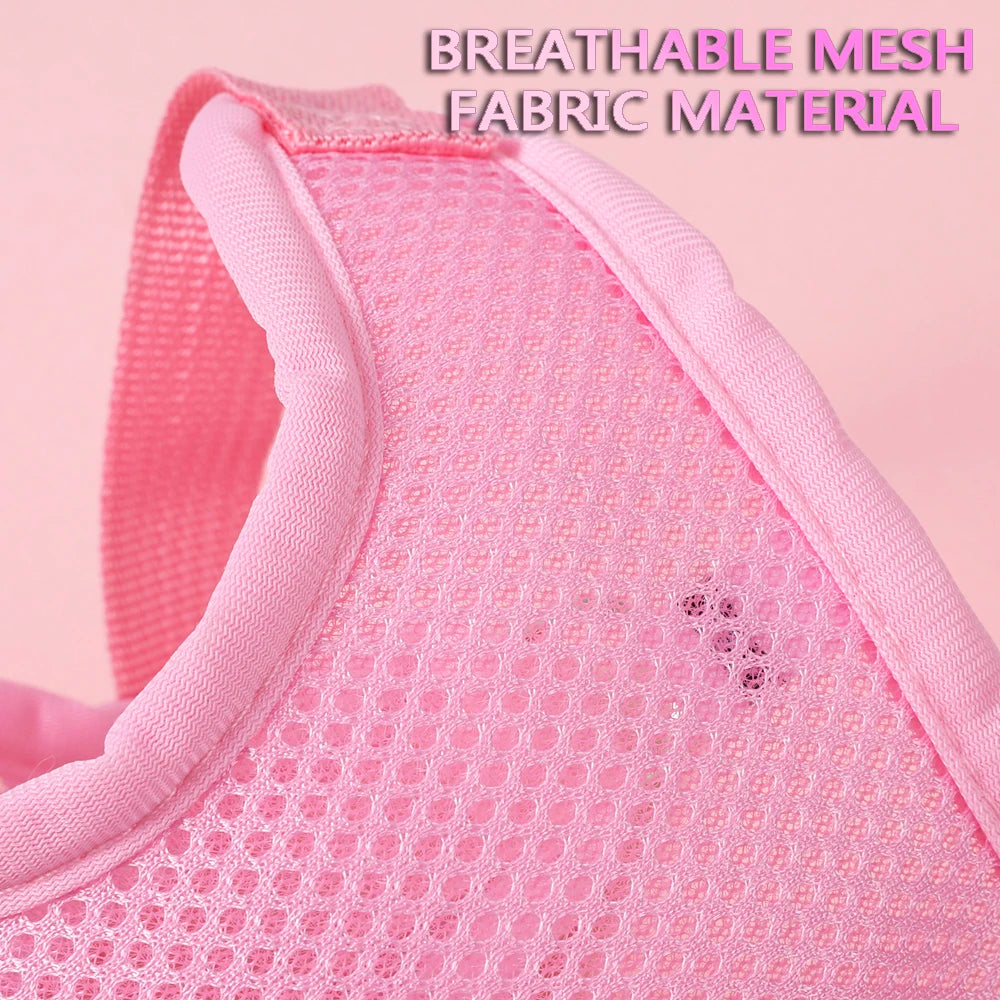 Breathable Cat Harness Set Butterfly Design With Leash Accessories