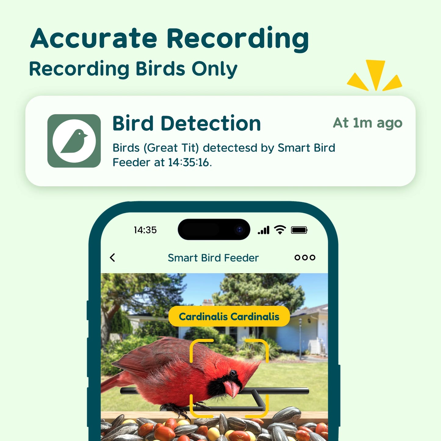 Bird Feeder With Camera Smart Birdwatching Auto Capture Alerts