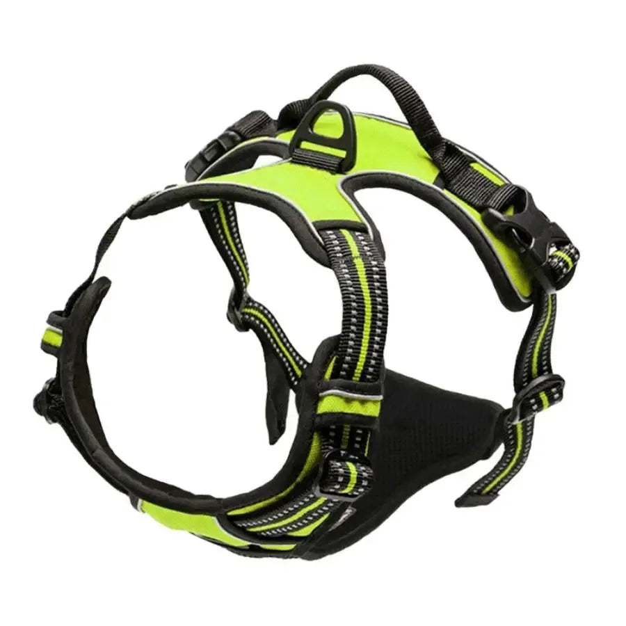 Dog Collar Harness Leash Set All Breeds All Seasons